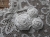 DSCN2163.JPG
