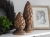 DSCN2919.JPG