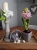 DSCN2521.JPG