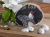 DSCN2526.JPG