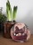 DSCN3058.JPG