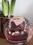 DSCN3059.JPG