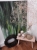 DSCN3093.JPG