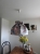 DSCN3609.JPG