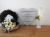DSCN3531.JPG