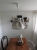 DSCN3647.JPG