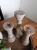 DSCN3744.JPG