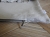 DSCN4438.JPG
