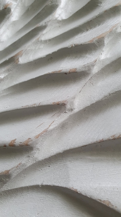 20210824_134610.jpg