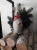 DSCN5037.JPG