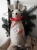 DSCN5031.JPG