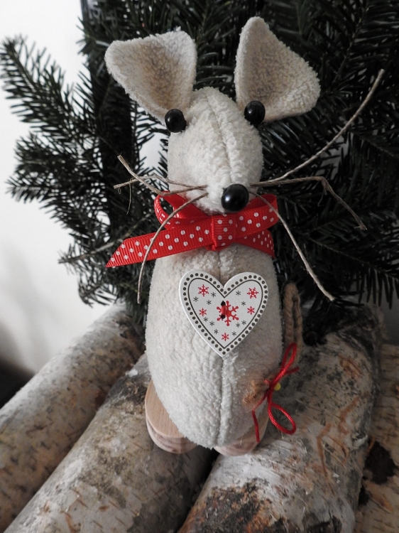 DSCN5039.JPG
