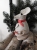 DSCN5041.JPG