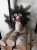 DSCN5044.JPG