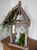 DSCN5186.JPG