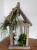 DSCN5185.JPG