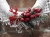 DSCN5406.JPG