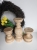 DSCN5803.JPG