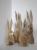 DSCN5809.JPG