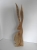 DSCN5816.JPG