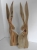 DSCN5827.JPG