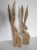 DSCN5832.JPG