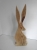 DSCN5822.JPG