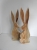 DSCN5823.JPG