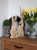 DSCN5836.JPG