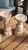 image (4).webp