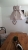 20230822_112027.jpg