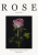 plakat rose pastel 2.png