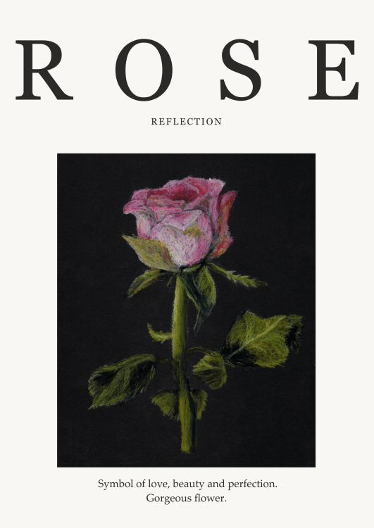 plakat rose pastel 2.png