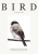 plakat_ptak_3_png.png