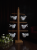 1757600050984-d4aaf72b-98b8-4976-88f2-6777aca8a44d.png